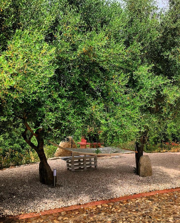 Casa Vacanza Centro Sardegna Sorgono Bagian luar foto