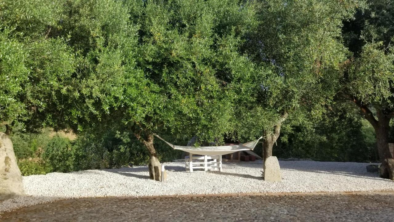 Casa Vacanza Centro Sardegna Sorgono Bagian luar foto