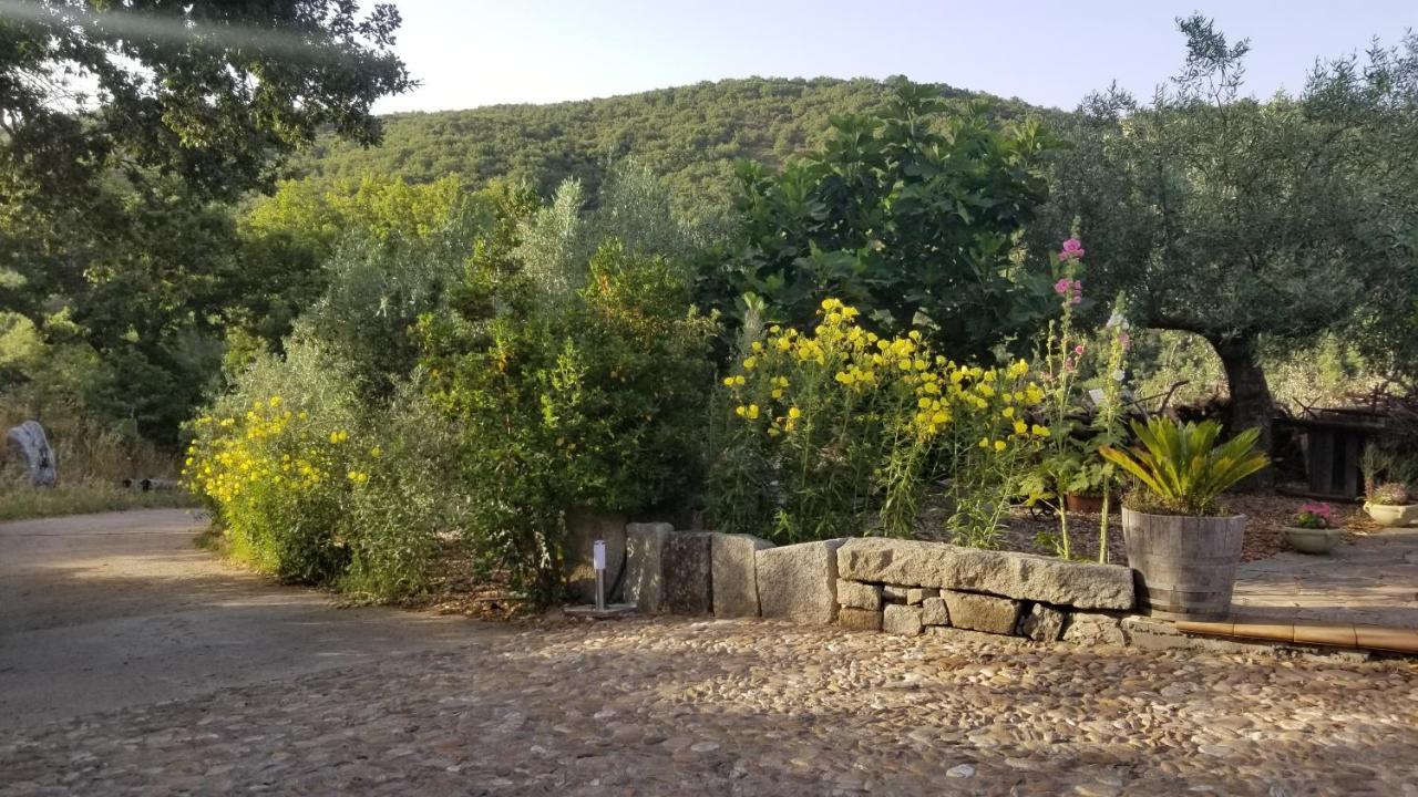 Casa Vacanza Centro Sardegna Sorgono Bagian luar foto