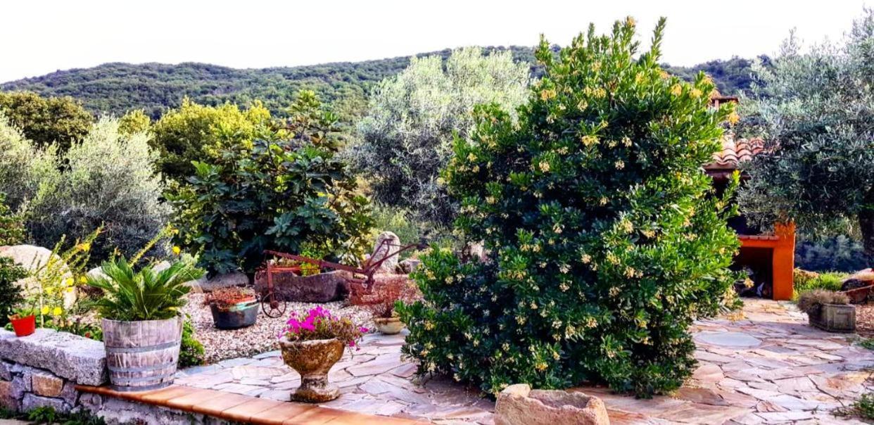 Casa Vacanza Centro Sardegna Sorgono Bagian luar foto