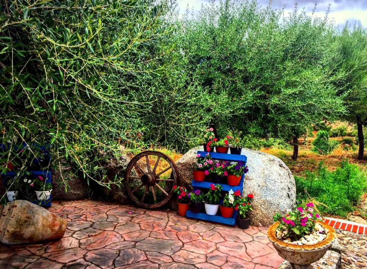 Casa Vacanza Centro Sardegna Sorgono Bagian luar foto